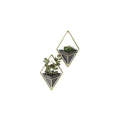 Umbra Trigg Hanging Planter for Small Plants, Set of 2, Small, Black/Brass - color: Black/Brass, size: Small