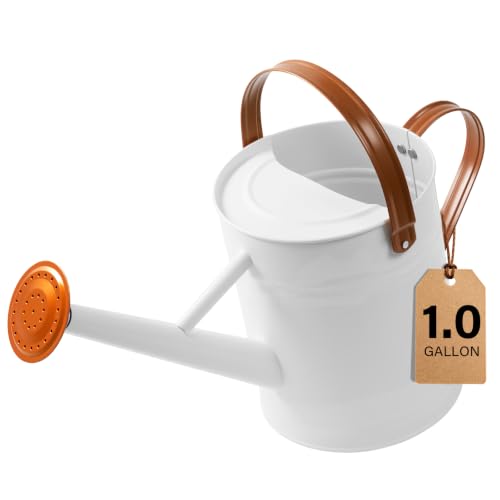 1 Gallon Watering Can for Outdoor&Indoor Plants，White - color: White