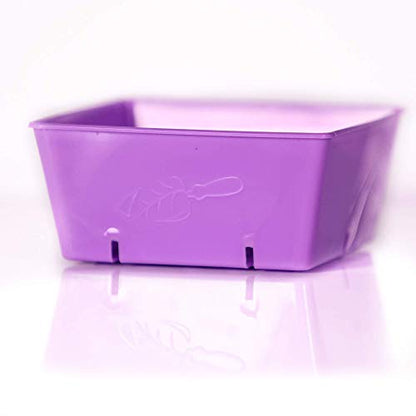Bootstrap Farmer 5x5 Trays 40 Pack in Purple, Extra Thick Heavy Duty Inserts for Microgreens, Wheatgrass, and Seed Starting - color: Purple, size: 40 Pack