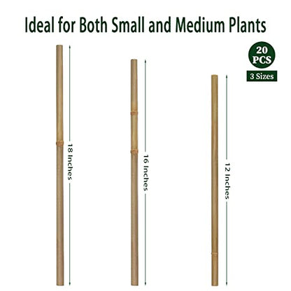 Plant Stakes,16IN Natural Garden Bamboo Sticks, 20Pcs Plant Support Stakes - size: 16 Inches, Pack of 20