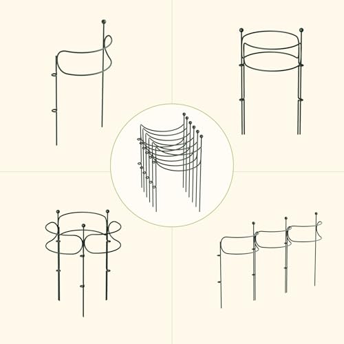 6 Pack Curved Plant Support Stakes, Dual Half Round Metal Garden Plant Stake, Peony Cages and Supports, 10"(W) x 20" (H) Flower Support Ring for Peonies, Hydrangea - size: Medium