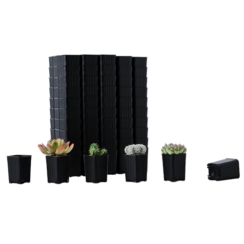120 Pack 2.40 Inch Small Black Plastic Square Nursery and Seedling Pot, Deep Transplant Seed Starter Planter with Drain Hole for Germination, Herb, Succulent - color: Black