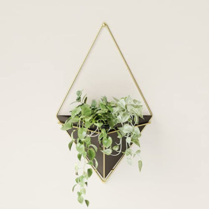 Umbra Trigg Wall Display, Large Geometric Planter Vessel, Black/Brass - color: Black/Brass, size: Large