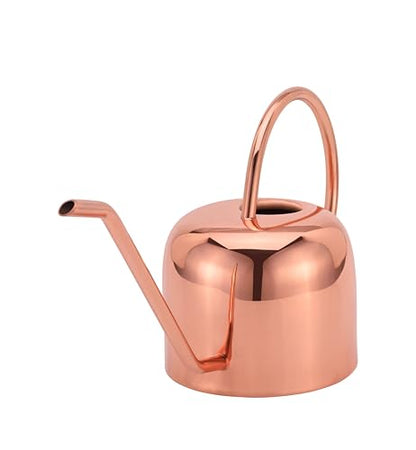 Indoor Watering Can and Planter with Plate.