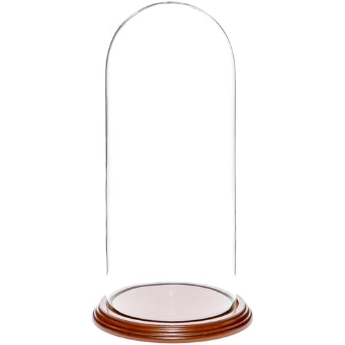 Plymor 5.5" x 13" Glass Display Dome Cloche (Walnut Veneer Base) - color: Walnut Veneer Base