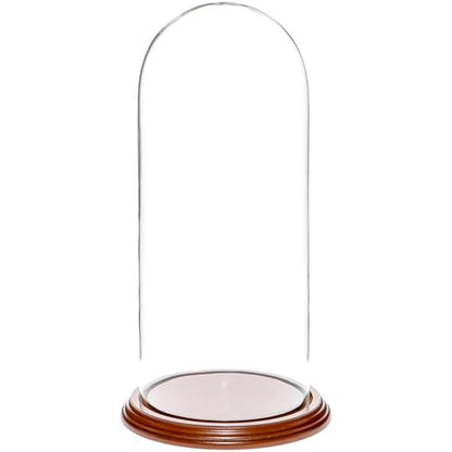 Plymor 5.5" x 13" Glass Display Dome Cloche (Walnut Veneer Base) - color: Walnut Veneer Base