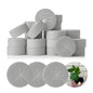 XCEL 200 Pack Cloning Collars Inserts 2" Premium Rubber Foam Cloner Plug Fits 2 inch net pots Hydroponics (200) (Gray) - color: Gray