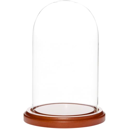 Plymor 4" x 7" Small Glass Display Dome Cloche (Walnut MDF Base) - color: Walnut Mdf Base