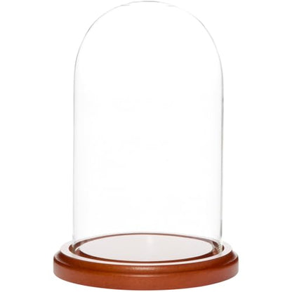 Plymor 4" x 7" Small Glass Display Dome Cloche (Walnut MDF Base) - color: Walnut Mdf Base