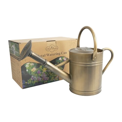 1-Gal Antique Bronze-Tone Metal Watering Can, Removable Spout - color: Shadow Patina