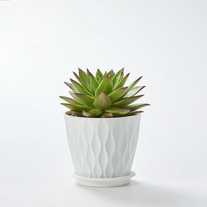 FaithLand 6-Pack 6-Inch Plastic Plant Pots with Saucers | Thickened PP Material, Modern Wave Texture, Enhanced Drainage for Indoor/Outdoor Garden Plants | White Value Set - color: White
