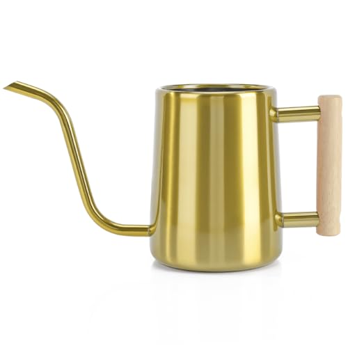 Watering Can Indoor Plants, 35 oz/1000 ml Metal Stainless Steel Watering Can Pot with Long Spout for Indoor House Plants Bonsai Outdoor Garden Flower Decorative (Gold) - color: Gold