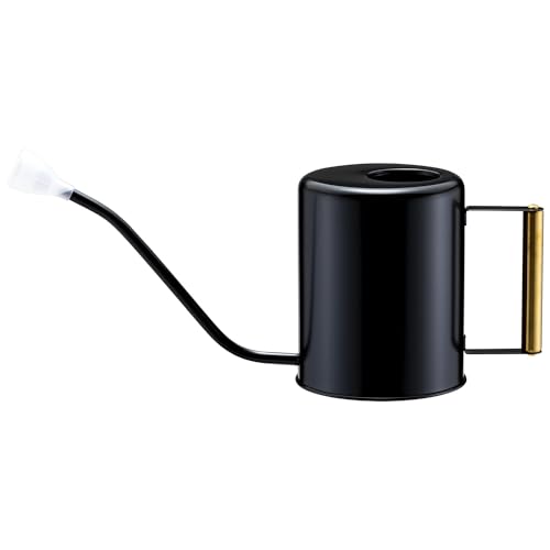 L&H Unico Stainless Steel 62oz Watering Can Long Spout Plant Misters for Indoor Plant Watering or Outdoor Gardening with 2Pcs Removable Spray Spout for Flowers Black