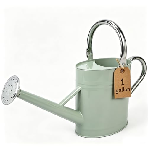 1 Gallon Watering Can for Outdoor&Indoor Plants，Cream Green - color: Cream Green