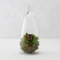 Z Gallerie Jules Cloche Hand-Blown Glass Display Dome, Clear,Small - size: 6.5" DIAMETER 15" TALL