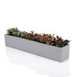 14.5-Inch Grey Rectangle Concrete Succulent Planter Windowsill Boxes - size: Small