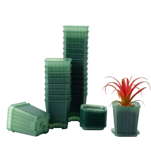 30Pcs 3 Inch Transparent Green Nursery Pots with Saucers, Square Plant Pot - color: Transparent Green