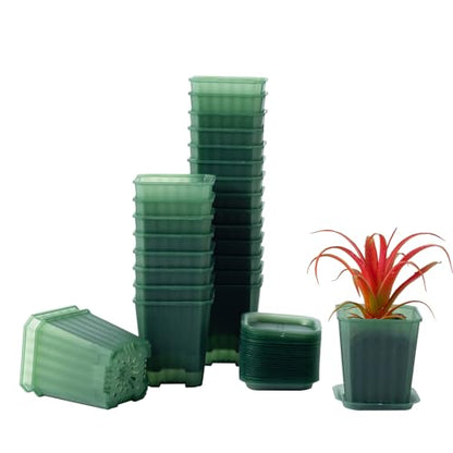 30Pcs 3 Inch Transparent Green Nursery Pots with Saucers, Square Plant Pot - color: Transparent Green