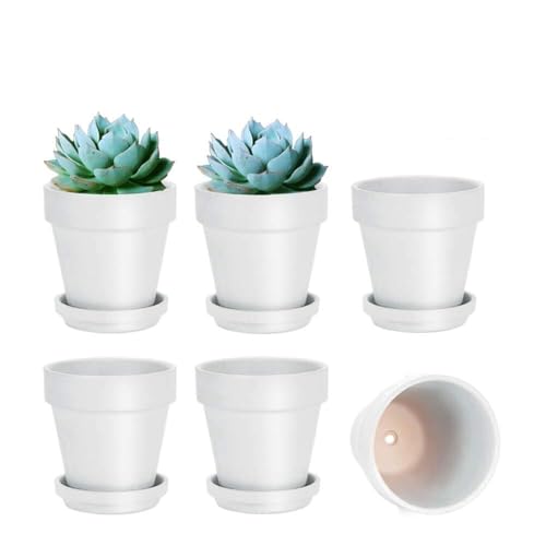 vensovo White Terracotta & Clay Pots with Saucer - 6 Pack 5 Inch Terra Cotta Pot Ceramic Pottery Planter Cactus Flowerpots Drainage Hole, Great for Plants, Crafts and Wedding Favor - color: White