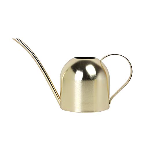 Stainless Steel Water Can for Indoor Plants and Garden (Gold 30 oz) - size: Gold 30 oz