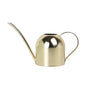 Stainless Steel Water Can for Indoor Plants and Garden (Gold 30 oz) - size: Gold 30 oz