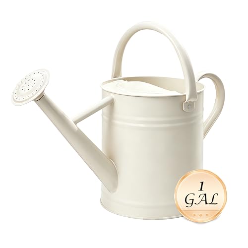 Metal Watering Can for Outdoor Plants, Watering Can 1 Gallon,Cream White - color: Cream White