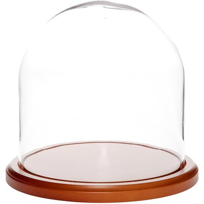 Plymor 8" x 8" Glass Display Dome Cloche (Walnut MDF Base) - color: Walnut Mdf Base