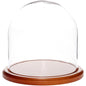 Plymor 8" x 8" Glass Display Dome Cloche (Walnut MDF Base) - color: Walnut Mdf Base