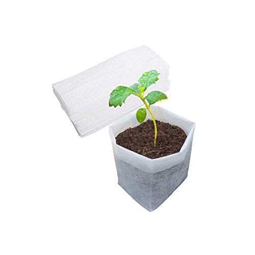 Belit 50 Pcs Non-Woven Plant Nursery Bags, Seedling Pots Container for Vegetable, Flower, Starting saplings, Plant Grow (11.6"x11.2") - size: 50 Pcs 11.6"x11.2"