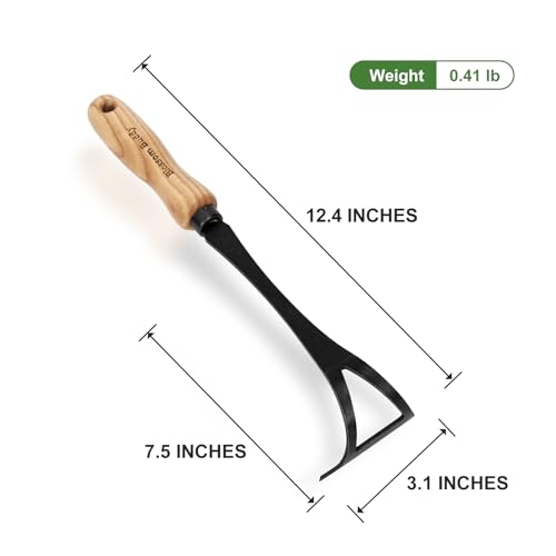 Onion Hand Hoe for Weeding, Stainless Steel Hoe Garden Tool Short Handle