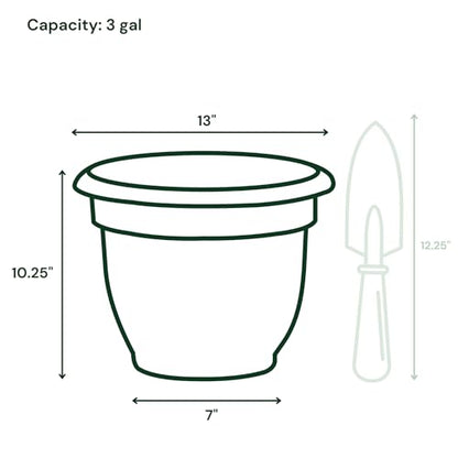 Bloem Ariana 12" Plastic Self-Watering Planter, Charcoal, 2-Pack - color: Charcoal, size: 12" (Pack of 2)