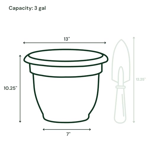 Bloem Ariana 12" Plastic Self-Watering Planter, Basil, 2-Pack - color: Basil, size: 12" (Pack of 2)