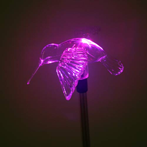 QIDEA Outdoor Solar Hummingbird Garden Stake Light for Outside Yard Decor