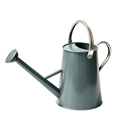 1.5 Gallon Metal Watering Can for Outdoor Plants, Large Watering Can, Gray - color: Gray