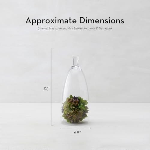 Z Gallerie Jules Cloche Hand-Blown Glass Display Dome, Clear,Small - size: 6.5" DIAMETER 15" TALL