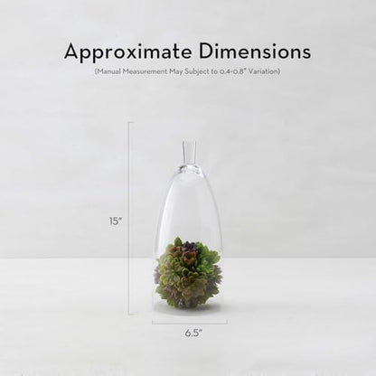 Z Gallerie Jules Cloche Hand-Blown Glass Display Dome, Clear,Small - size: 6.5" DIAMETER 15" TALL
