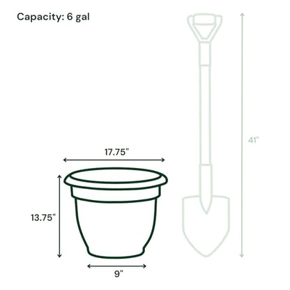 Bloem Ariana 16" Plastic Self-Watering Planter, Vanilla Bean, 2-Pack - color: Vanilla Bean, size: 16" (Pack of 2)