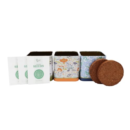Buzzy Seeds Herbal Tea Garden Kit 3-Pack, Printed Metal Planters, Herbs