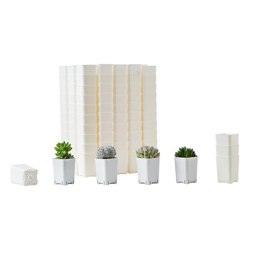 120 Pack 2.40 Inch Small White Plastic Square Nursery and Seedling Pot, Deep Transplant Seed Starter Planter with Drain Hole for Germination, Herb, Succulent - color: White