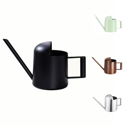 Mini Watering Can, 10oz/300ml Stainless Steel Long Spout Small Watering Can for Indoor Plants Succulents, Herbs (Black) - color: Black