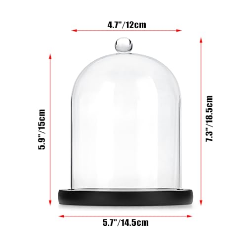 JUXYES 4.5x6 Clear Glass Display Dome Cloche with Handle & Black Wood Base - color: Black