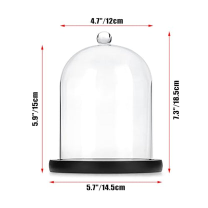 JUXYES 4.5x6 Clear Glass Display Dome Cloche with Handle & Black Wood Base - color: Black
