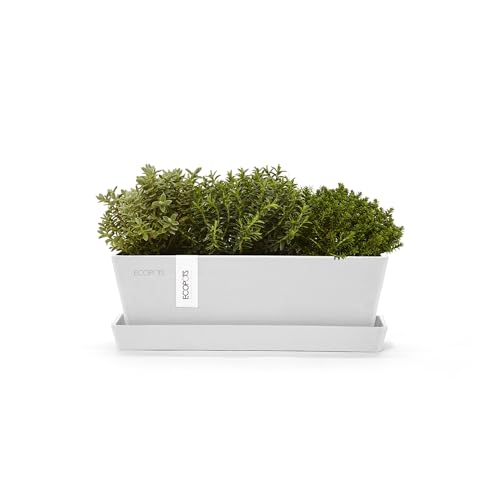 Ecopots Bruges Rectangular Flower Planter w/Saucer, Pure White, 10" - color: Pure White