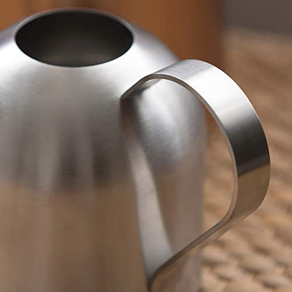 Watering Can for Indoor Plants, 450ml/15oz Stainless Steel - size: Silver 15 oz
