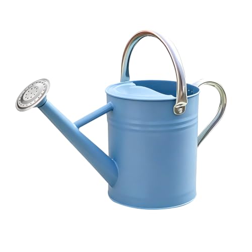 Metal Watering Can for Outdoor and Indoor Plants, Watering Can Decor, 1 Gallon (Blue) - color: Blue