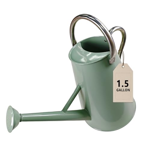 1.5 Gallon Large Watering Can for Outdoor&Indoor Plants - color: Cream Green