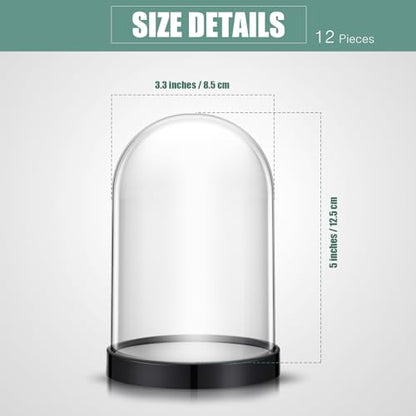 Zhengmy 4 Pcs Plastic Dome with Base Cloche for Craft Clear Display Case