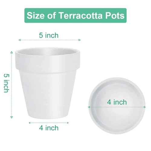 vensovo White Terracotta & Clay Pots with Saucer - 6 Pack 5 Inch Terra Cotta Pot Ceramic Pottery Planter Cactus Flowerpots Drainage Hole, Great for Plants, Crafts and Wedding Favor - color: White