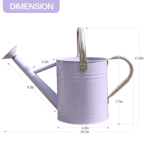 Metal Watering Can 1 Gallon for Outdoor Garden Plants,Purple - color: Purple With Stainless Steel Handle