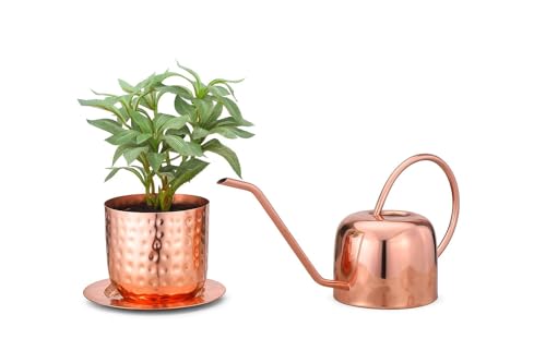 Indoor Watering Can and Planter with Plate.